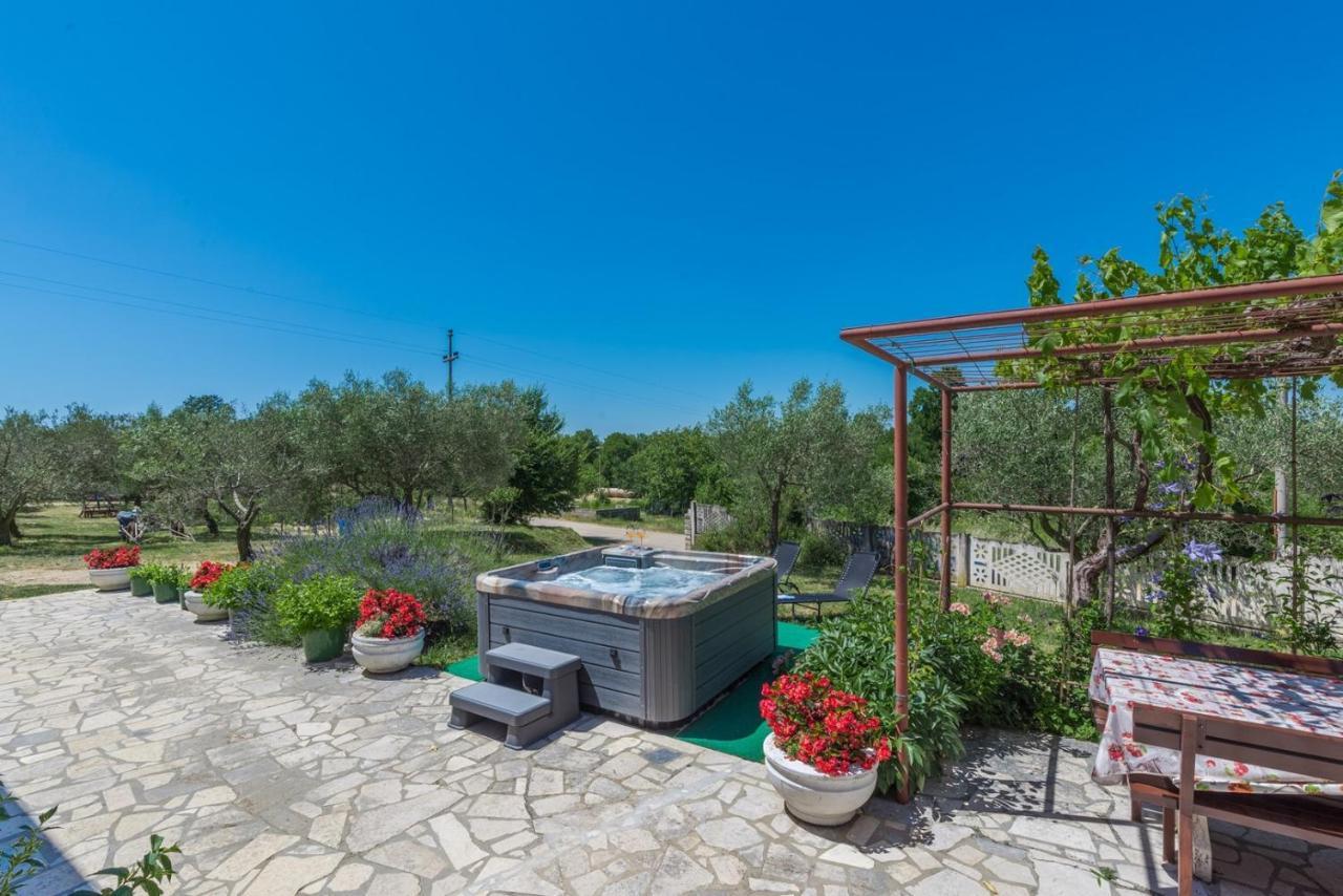 Ferienhaus Zora With Whirlpool Святой Ловреч Пазенатички Экстерьер фото